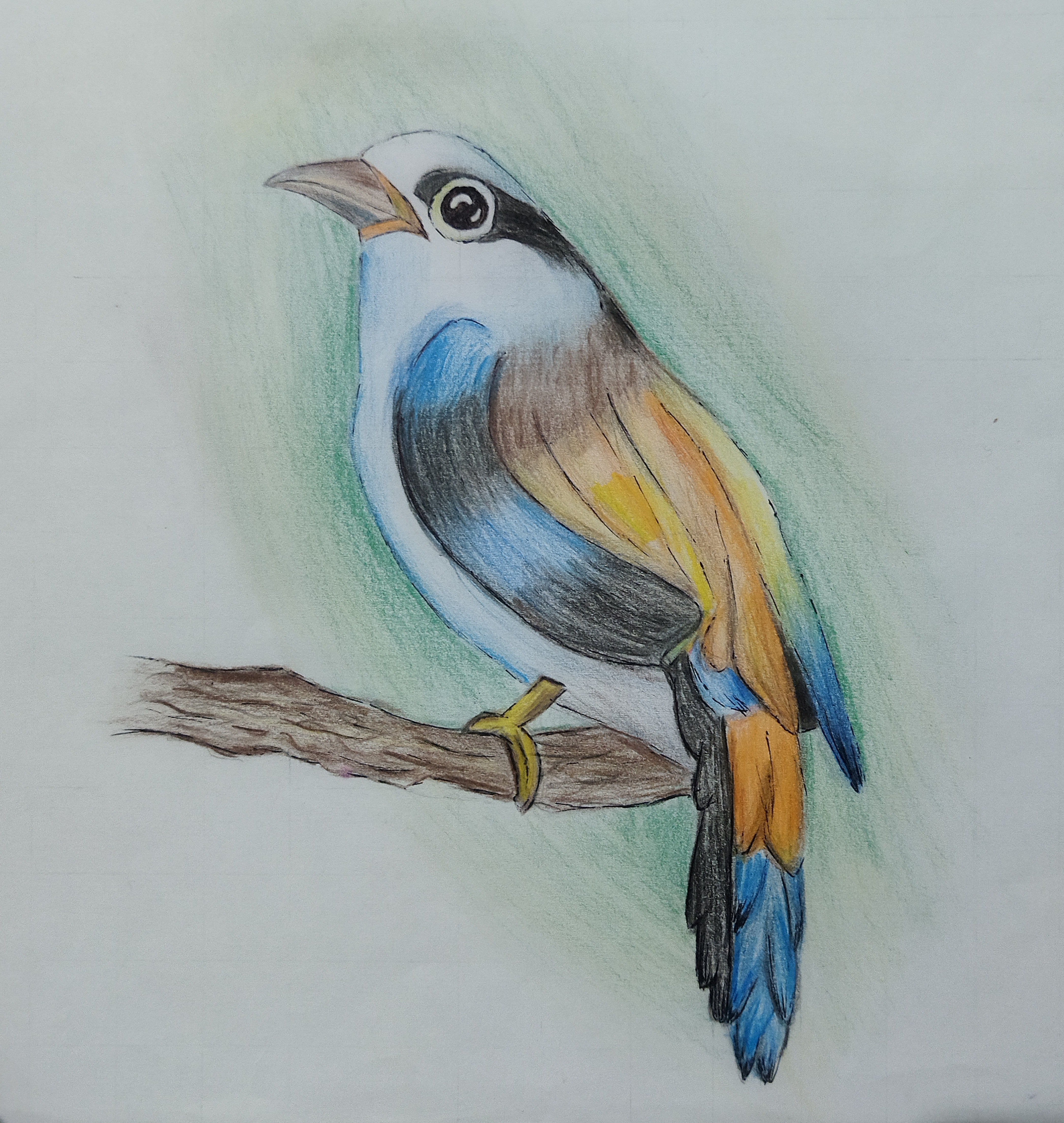 Artwork 14
